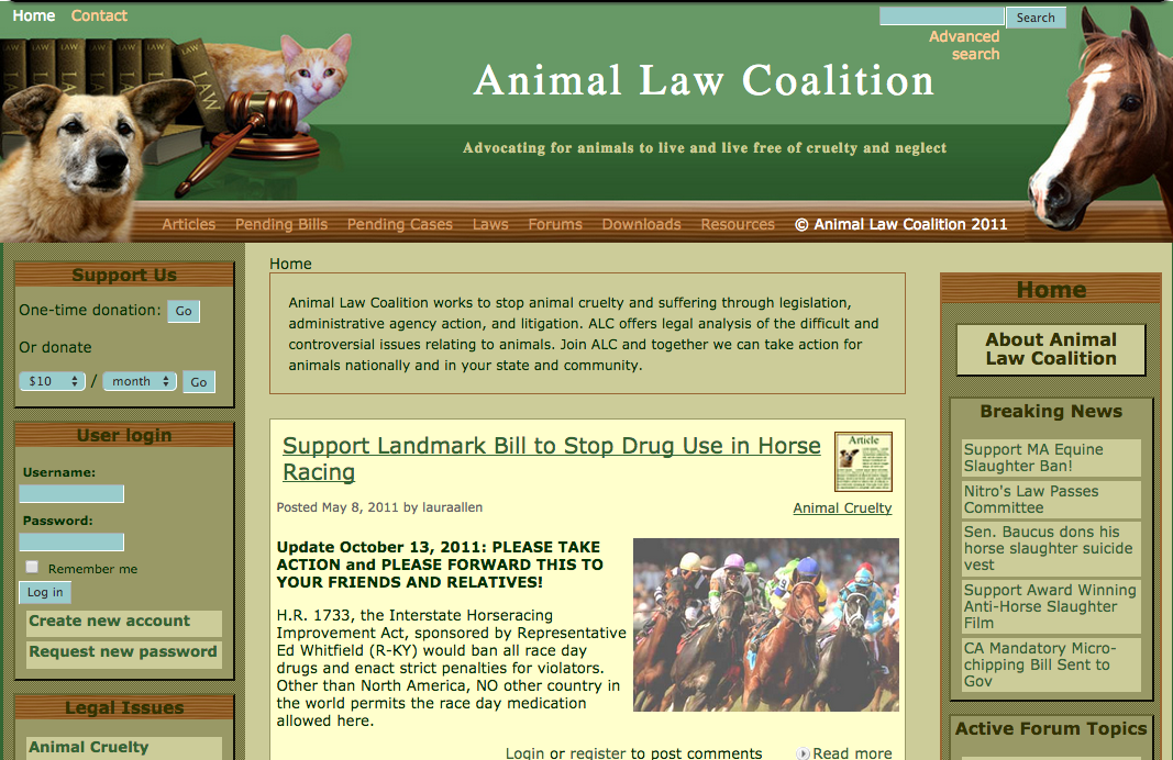 A screenshot of the live website, showing the custom theme, icons, and header.