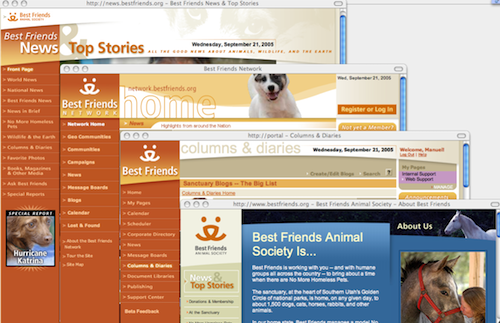 Multiple screenshots of the Best Friends web ecosystem